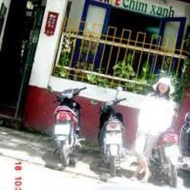Tổng hợp- Chim Xanh Cafe