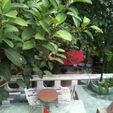Không gian- Chim Xanh Cafe