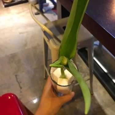 Tổng hợp- Chouchi Coffee