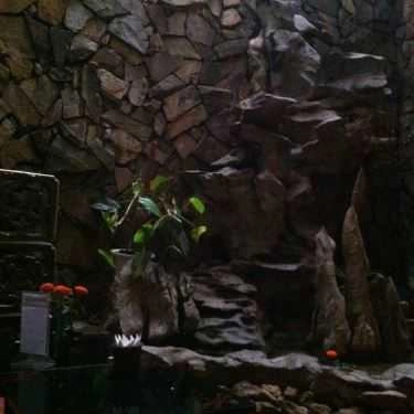 Tổng hợp- Chuồn Chuồn Phố Cafe
