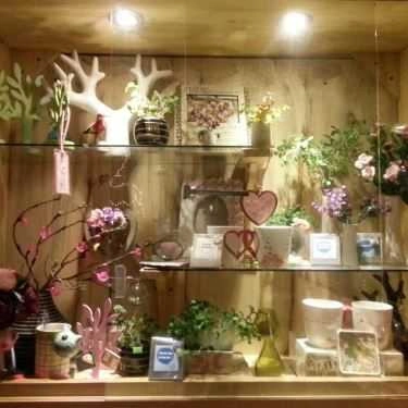 Tổng hợp- Chuồn Chuồn Phố Cafe