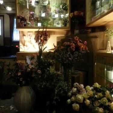 Tổng hợp- Chuồn Chuồn Phố Cafe