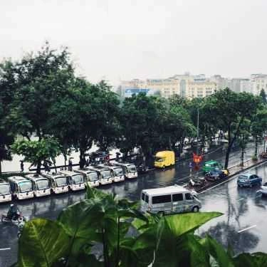 Tổng hợp- Civet Coffee
