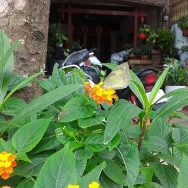 Tổng hợp- Classic Cafe - Miếu Đầm