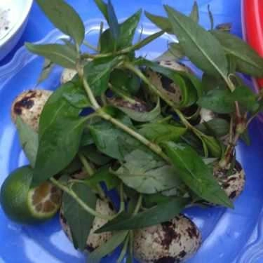 Món ăn- Cô Bông - Ốc Nóng & Ăn Vặt