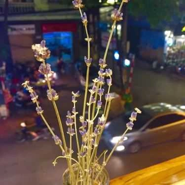 Tổng hợp- Cococha - Tea, Coffee & Juice - Trần Cung