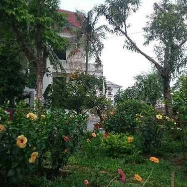 Tổng hợp- Coffee & Lounge