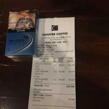 Tổng hợp- Conifer - Coffee & Fastfood