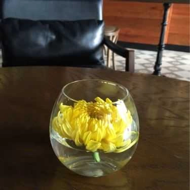 Tổng hợp- Cora Cafe - Hòa Mã