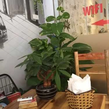 Không gian- Củ Cải Coffee