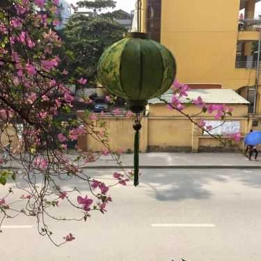 Tổng hợp- Cư Xá Cà Phê
