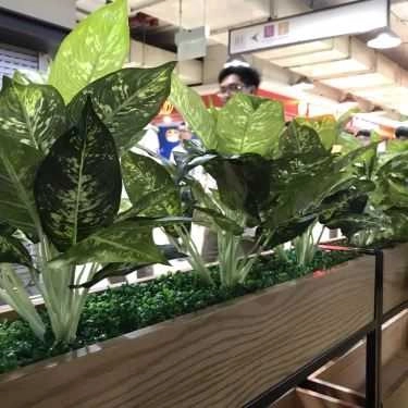 Tổng hợp- Cafe Ding Tea - The Garden