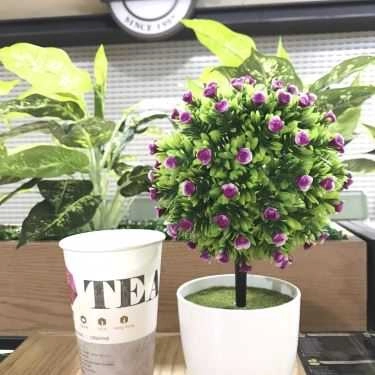 Tổng hợp- Cafe Ding Tea - The Garden