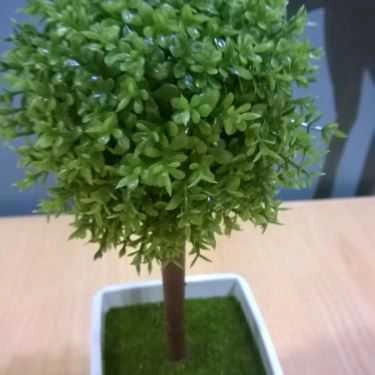 Tổng hợp- Cafe Ding Tea - Nguyễn Trãi