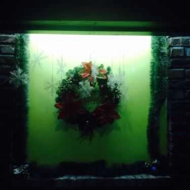 Tổng hợp- Polygon Musik Cafe