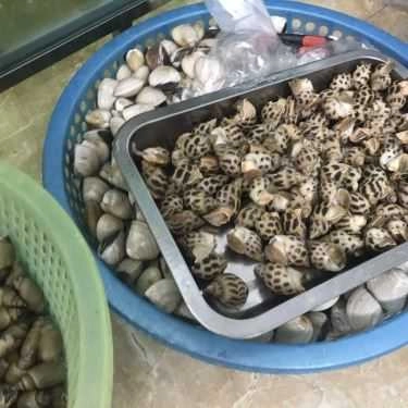 Tổng hợp- Ăn vặt Đức Diệp - Ốc Mút