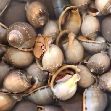 Tổng hợp- Ăn vặt Đức Diệp - Ốc Mút
