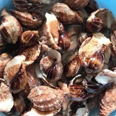 Tổng hợp- Ăn vặt Đức Diệp - Ốc Mút