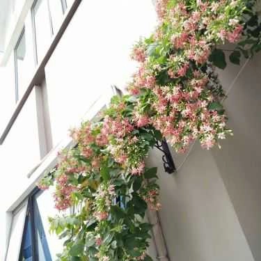 Tổng hợp- E'mu Cafe