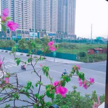 Tổng hợp- E'mu Cafe