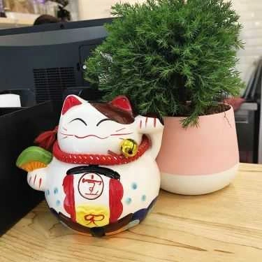 Tổng hợp- Cafe Fancy Fruit - Trái Cây Nguyên Chất