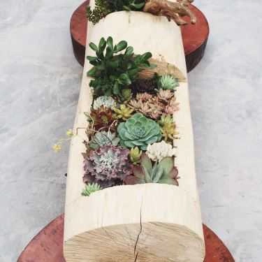 Tổng hợp- Fika Cafe - Lò Đúc