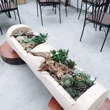 Tổng hợp- Fika Cafe - Lò Đúc