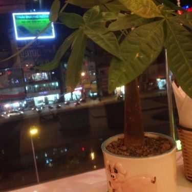 Tổng hợp- Firefly Coffee - Nguyễn Trãi