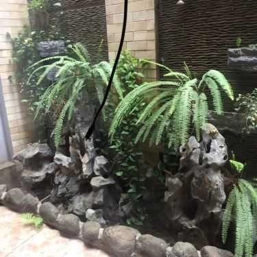 Tổng hợp- Fly Coffee