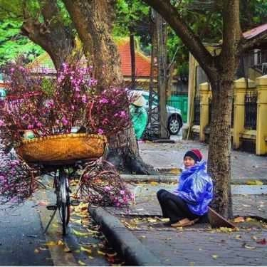 Tổng hợp- G - House Coffee