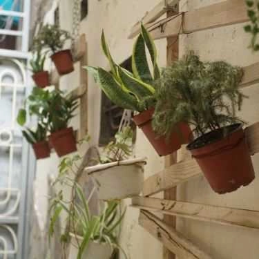 Tổng hợp- Ga Cafe & Homestay