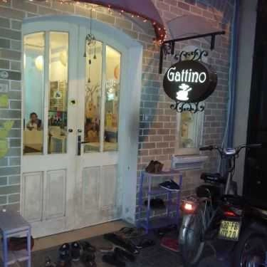 Tổng hợp- Gattino Cafe