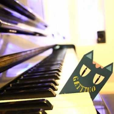 Tổng hợp- Gattino Cafe