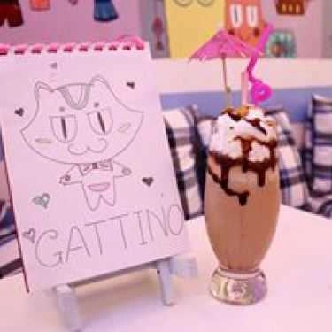 Tổng hợp- Gattino Cafe