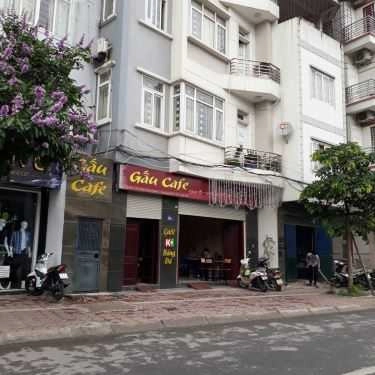 Tổng hợp- Gấu Cafe - Giáp Nhất