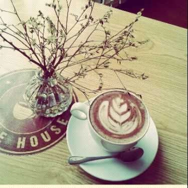 Tổng hợp- Gấu Coffee
