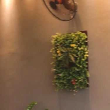 Tổng hợp- Gemini Coffee - Giang Văn Minh