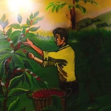 Tổng hợp- Gemini Coffee - Giang Văn Minh