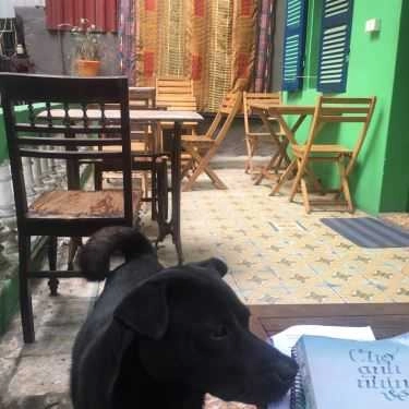 Tổng hợp- Gió Bắc Cafe