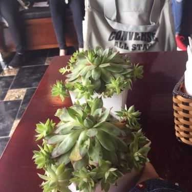 Tổng hợp- Cafe TeaFox - Minh Khai