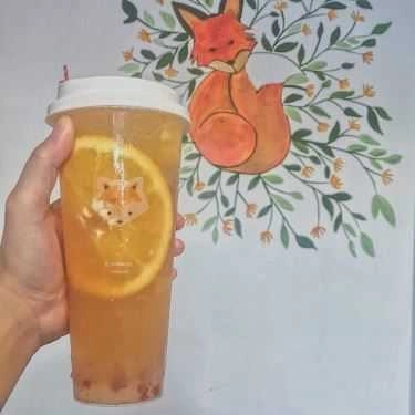Tổng hợp- Cafe TeaFox - Thượng Đình