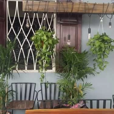 Tổng hợp- Cafe Goofoo Gelato - Xã Đàn