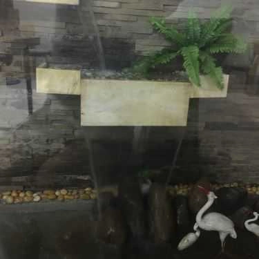 Tổng hợp- Green Coffee - Đại Mỗ
