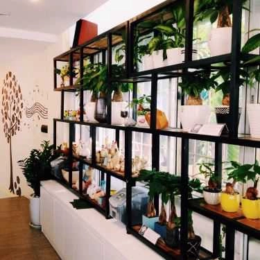 Tổng hợp- Green Corner Coffee