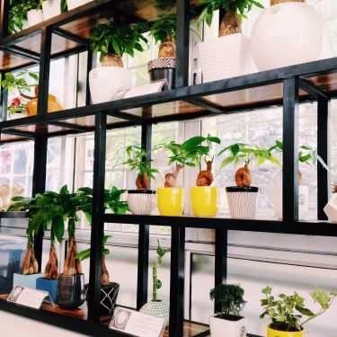 Tổng hợp- Green Corner Coffee