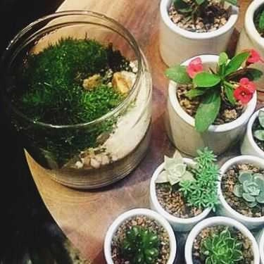 Tổng hợp- Green Oasis - Coffee & Workshop