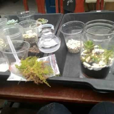 Tổng hợp- Green Oasis - Coffee & Workshop