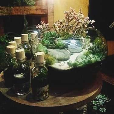 Tổng hợp- Green Oasis - Coffee & Workshop
