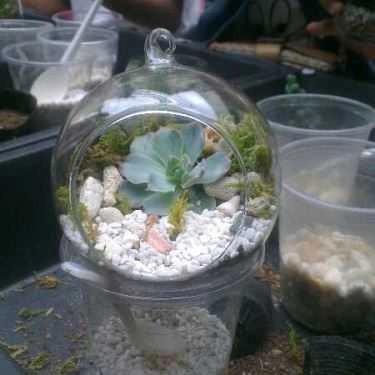 Tổng hợp- Green Oasis - Coffee & Workshop