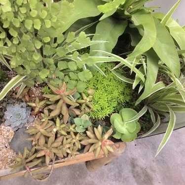 Tổng hợp- Green Oasis - Coffee & Workshop